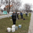 В городе и селах посадили более 150 деревьев. - Администрация