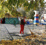 Субботник в городском парке культуры и отдыха. - Острогожская ЦБ
