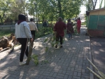 Субботник