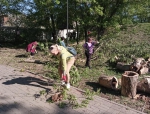 Субботник